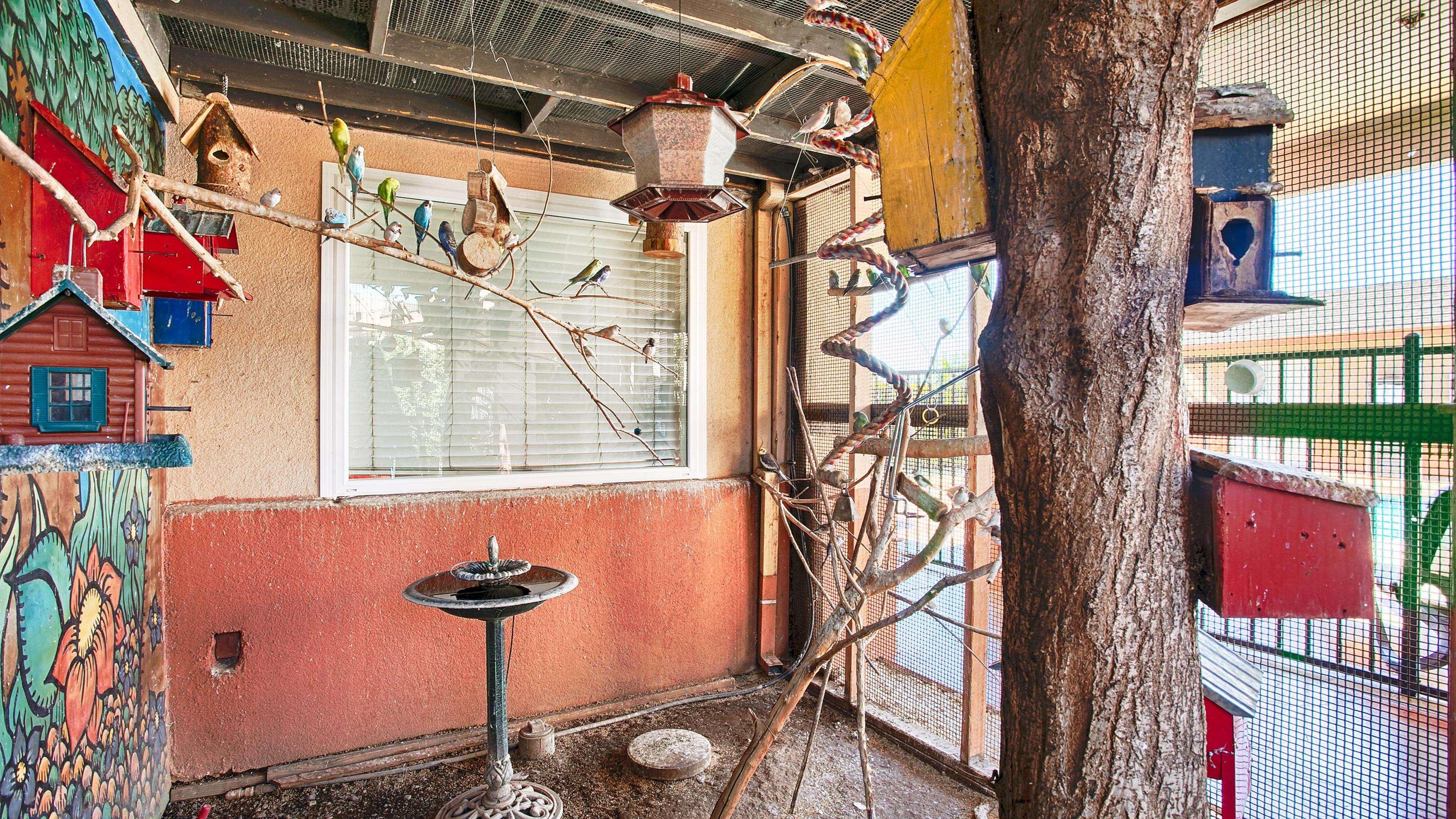 Best Western Antelope Inn & Suites Red Bluff Exterior photo